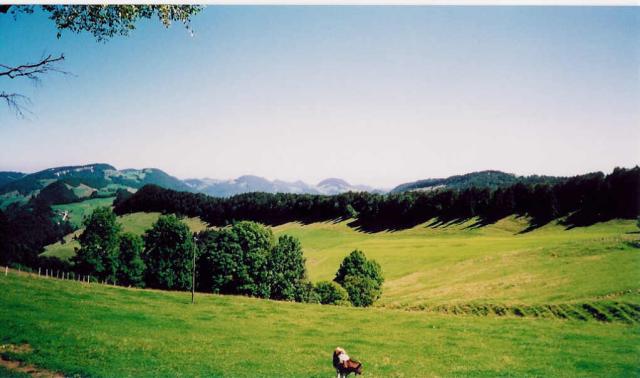 Die Aussicht vom Berggasthof Erzberg am Schletenpass.Stefan Moser
