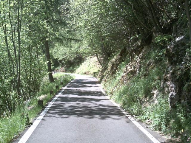 Die schmale Straße führt eine Zeitlang parallel zum Bach.
