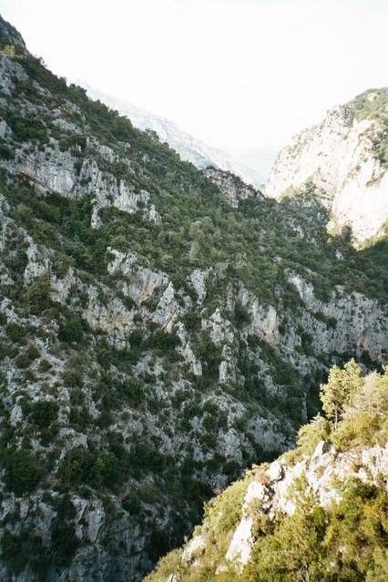 ...bieten sich auf der D19 schöne Blicke hinab in die Gorge de la Vesubie.