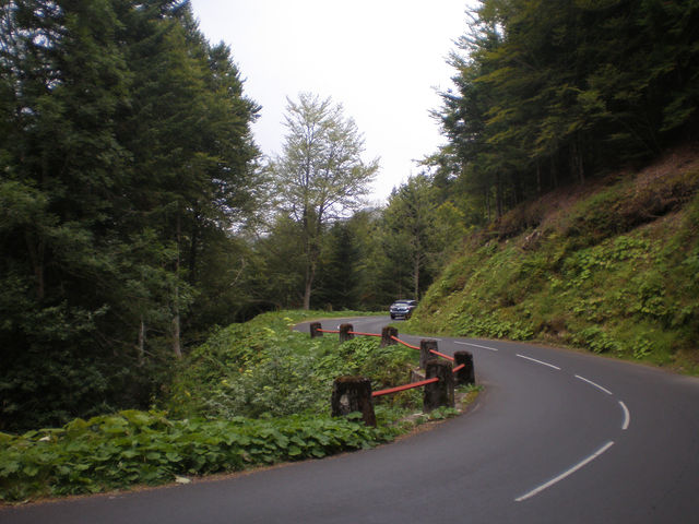 Kurven auf der Abfahrt hinter dem Col de Neronne.