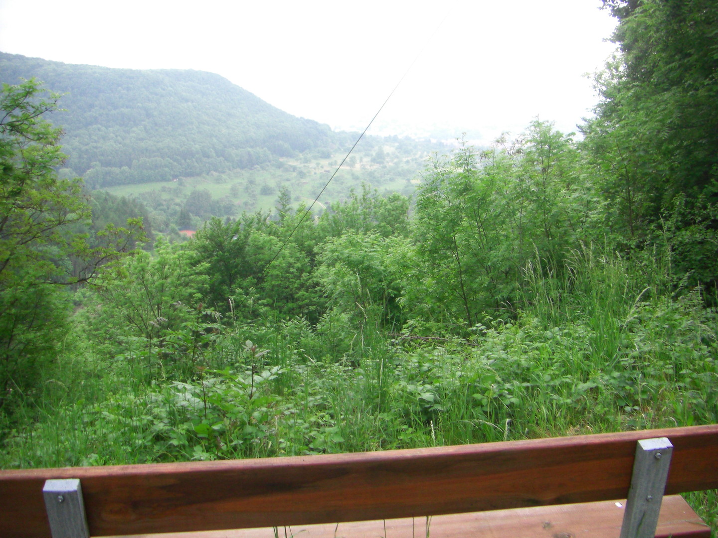 Ausblick zum Geisberg auf der anderen Talseite.