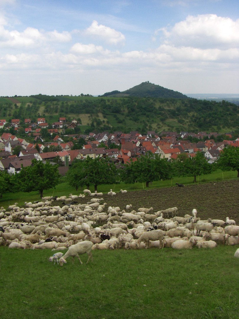 Typische Albbweohner vor Hepsisau mit der Limburg im Hintergrund.