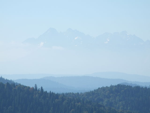 Blick vom Lesnicke sedlo auf die Hohe Tatra