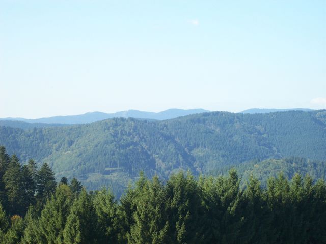 Tolle Aussicht. Im Hintergrund blass die höchsten Berge des Nordschwarzwalds.