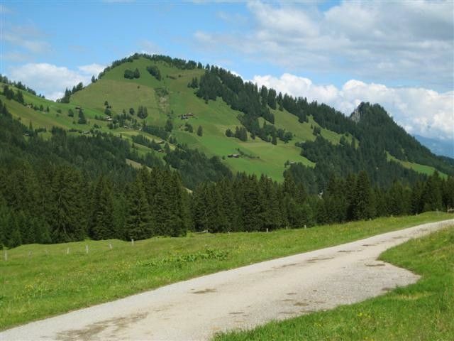 Blick von der Alp Laubenzug Richtung Valzeina.