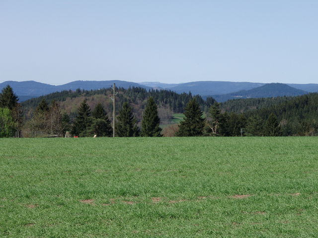Blickrichtung Nordschwarzwald