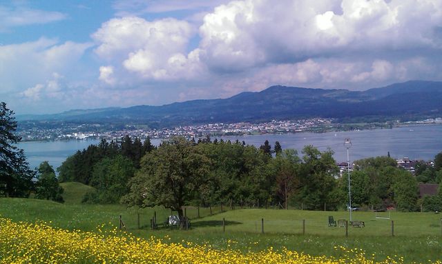 immer den Zürich- und Obersee im Nacken