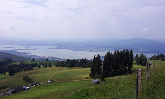 Blick auf Zürichsee und Seedamm