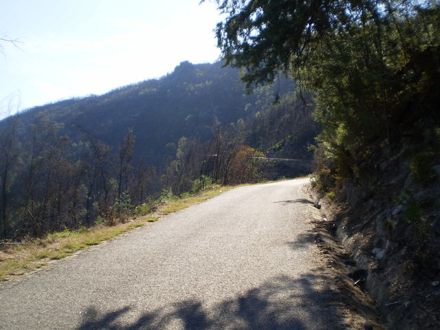 Ostanfahrt: Mehr oder weniger in südliche Richtung am Berghang entlang.