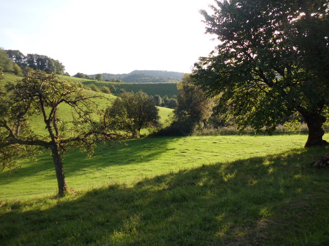 Blick in den grünen Odenwald an diesem herrlichen Spätsommertag (21.09.11)