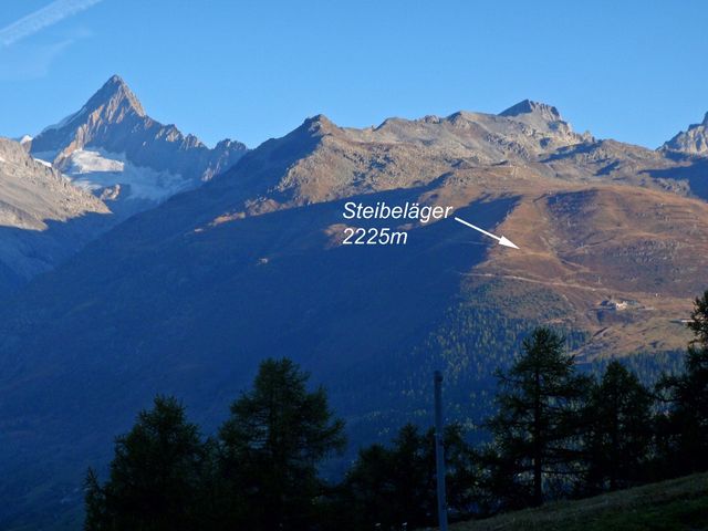 Finsteraarhorn(4272m) bewacht die Auffahrt nach Steibeläger.