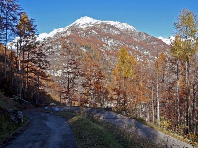 Monte Valdo-4, hinten Cima di Cagnoi(2545m).