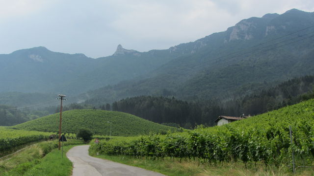 Blick über die Weinberge auf den Cornetto del Bondone.