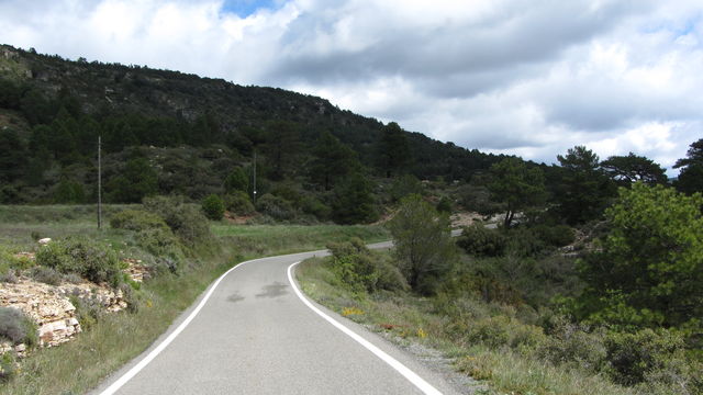 Hinter der Kreuzung oberhalb des Coll d'Alforja wieder enge Straße.