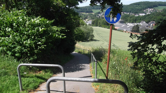 Variante Böhmesweg - schön steil.