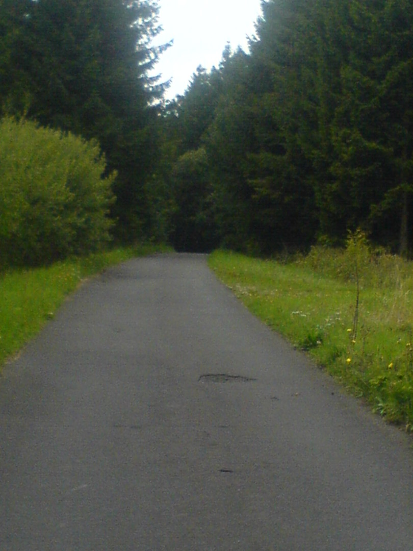 Kurz vor Einfahrt in den Wald ein Steilstück