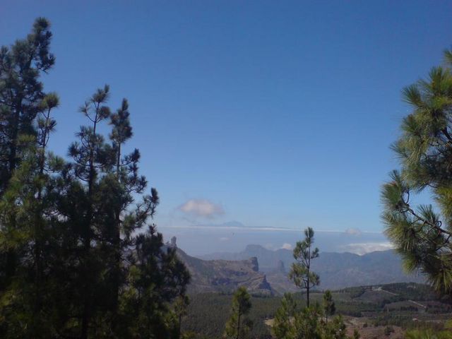 Pico de las Nieves - Ausblick nach Teneriffa.