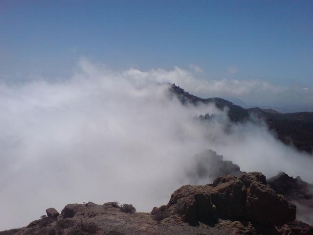 Pico de las Nieves - über den Wolken.