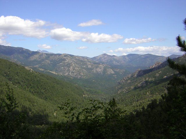 Orbo-Tal zwischen Ghisoni und Col de Verde - Blick zurück.