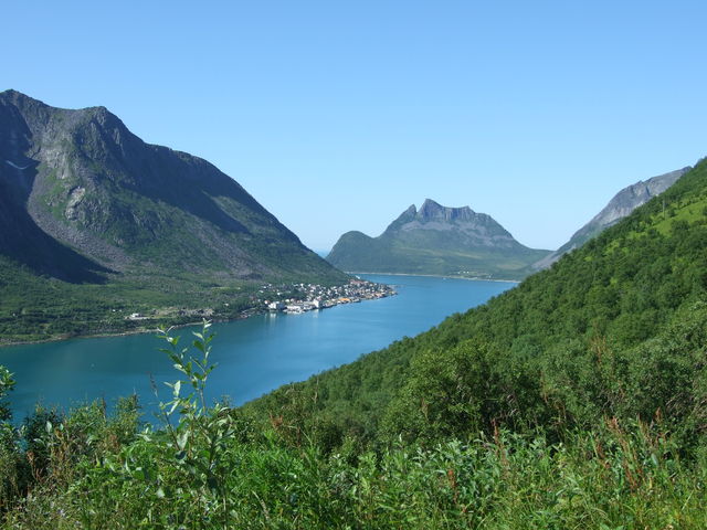 Blick vom Pass auf Gryllefjord