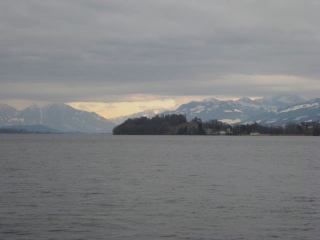 Die Halbinsel Au, im Hintergrund die Glarner Alpen.