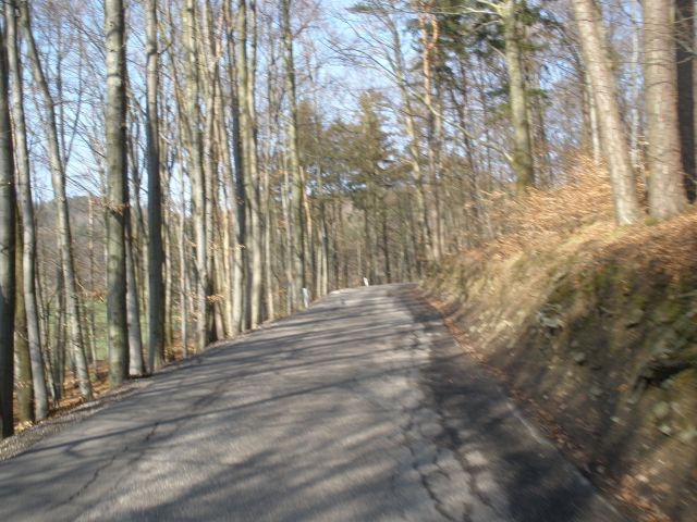 Der Wald präsentiert sich noch nicht sehr frühlingshaft am 1. April 2009.