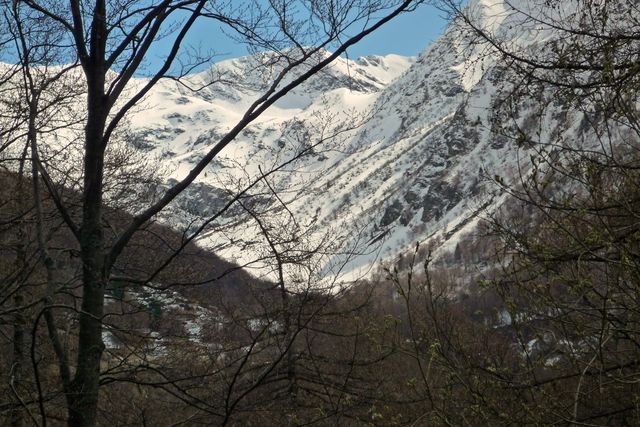 18 durch die Bäume sieht man links die Alpe di Serdena (1460m), 18.04.09
