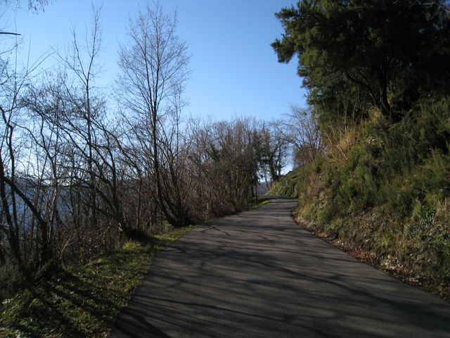 Tolle Strasse nach Colla dei Rossi.
(Februar 2009)