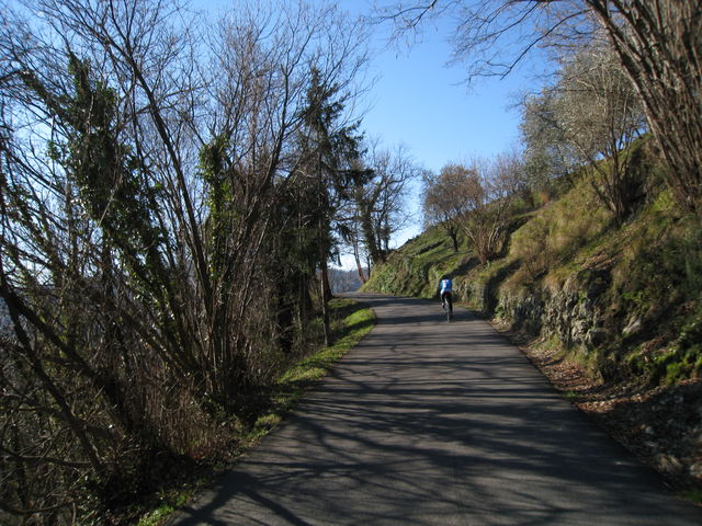 Typisch ligurische Bergstrasse zur Colla dei Rossi.
(Februar 2009)