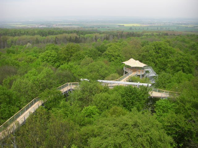 Die Erweiterung des Baumkronenpfad mit Hängebrücke.