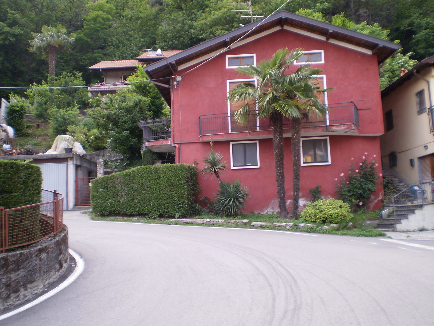 Haus mit Palme in Cireggio.