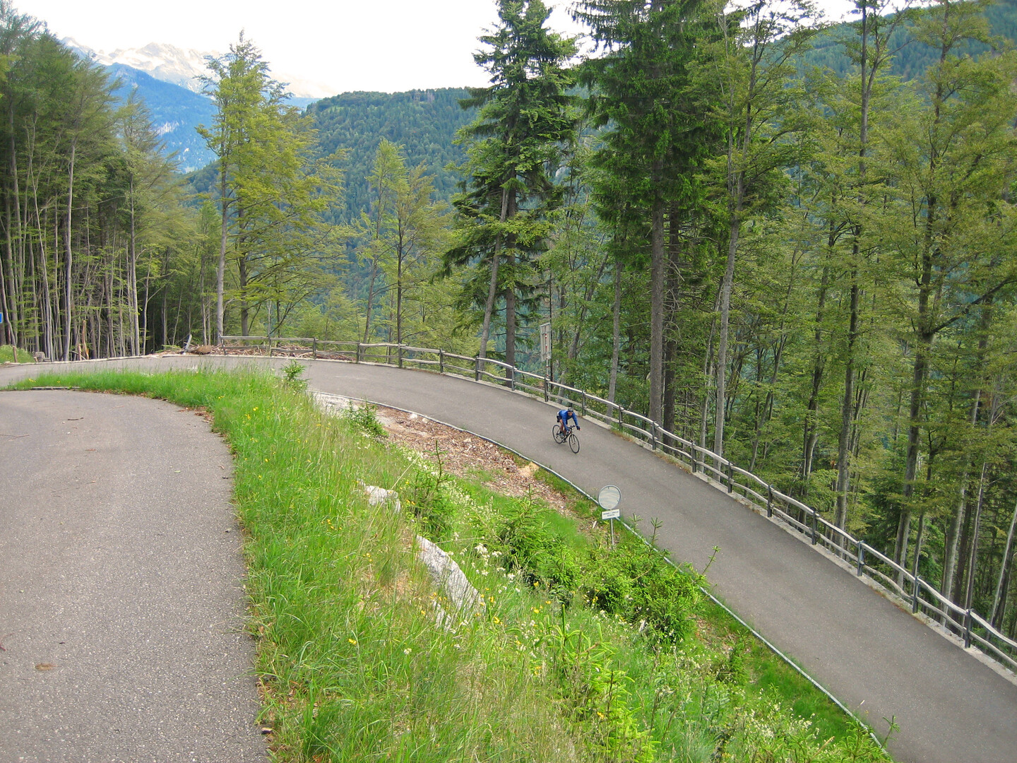 zügige Abfahrt nach Arbedo, Alpe del Gesero doppio, 24.06.09