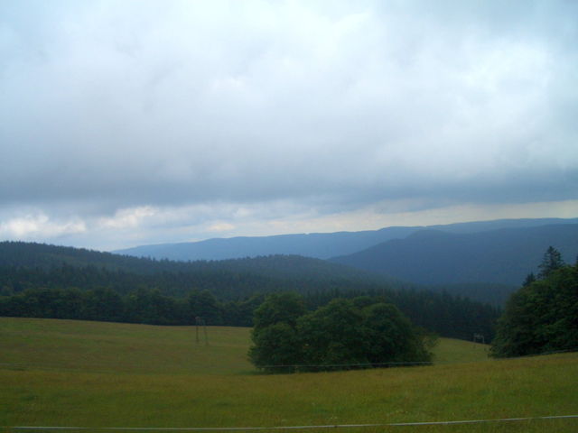 Blicke über den Schwarzwald