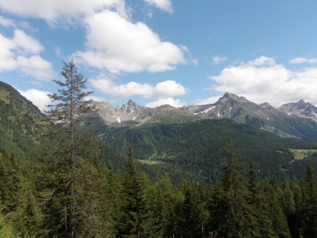 Schöner Bernina im oberen Teil