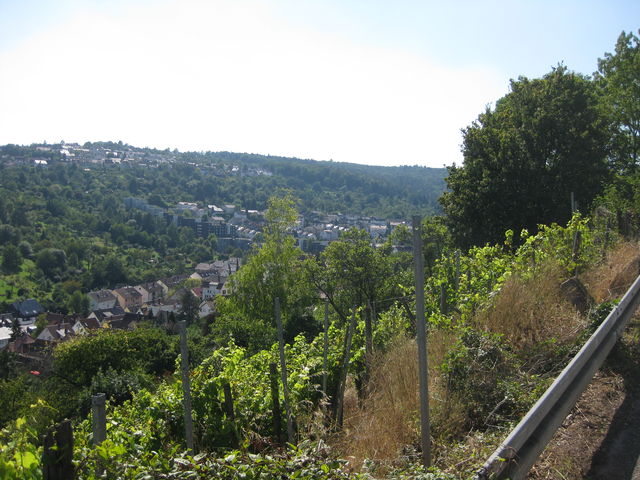 Blick nach unten auf Stuttgart-Rohracker.