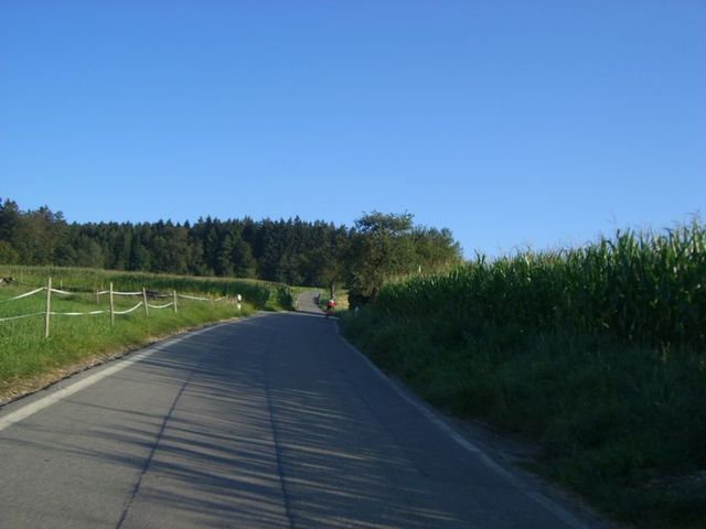 Auffahrt von Roggenbeuren - Strecke oberhalb von Roggenbeuren