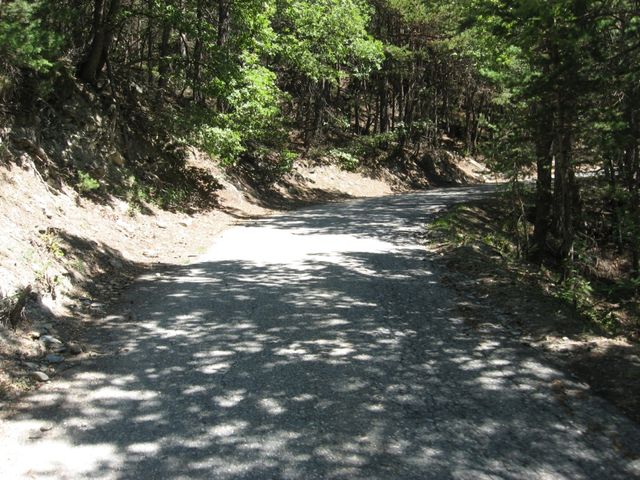 Die schmale Straße verläuft teilweise durch den Wald.