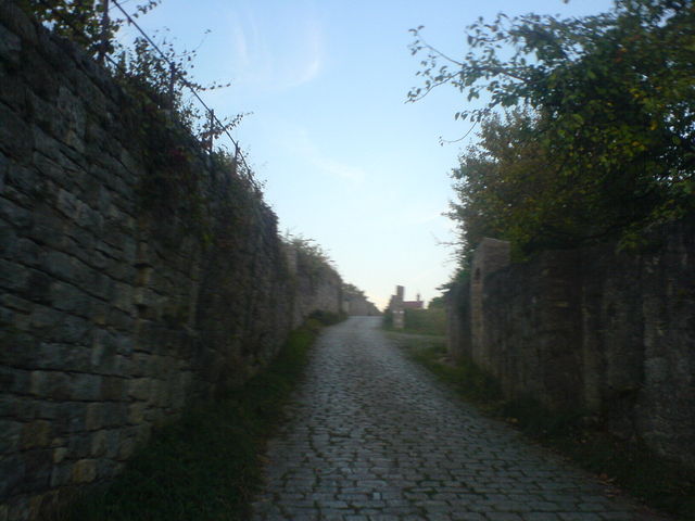 Auf Kopfsteinpflaster entlang von alten Weinbergmauern