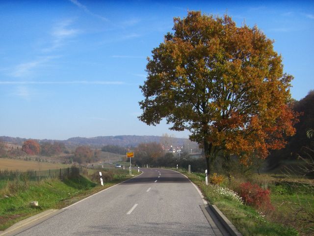 Zwischen Obersdorf und P”lsfeld geht es gem„chlich durch das Tal entlang.