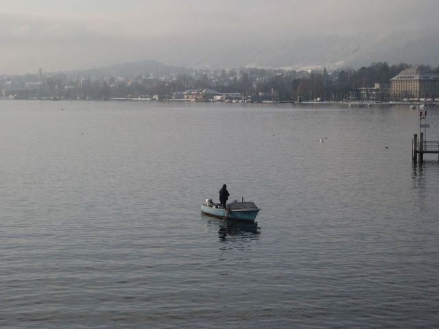 1. Jan - Neujahrsmorgen am Zürichsee. Der Schnee ist am Vorabend gekommen!