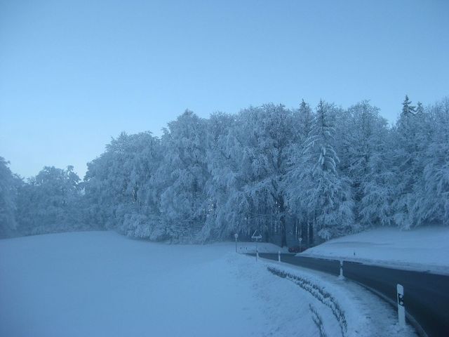 11. Jan - Zehn Tage Hochnebel, dann Sonne. Die Bäume tragen sichtlich viel Eis! Die Buchenegg bei Zürich