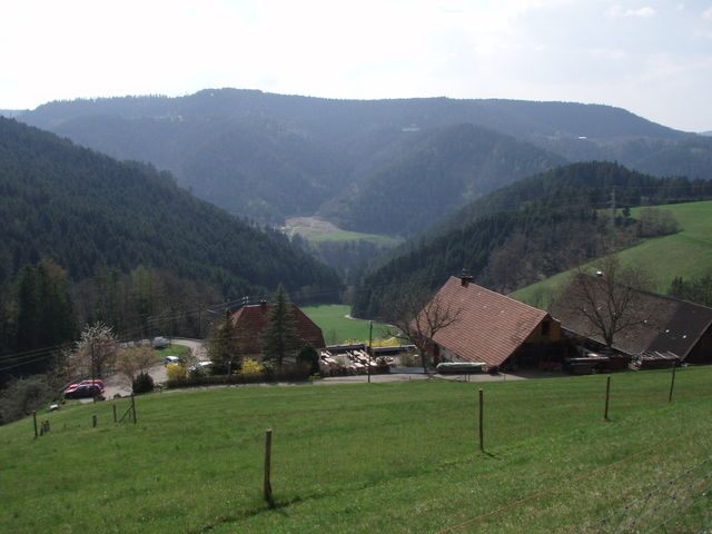 Schwarzwaldidyll mit Blick zum Hinterholz