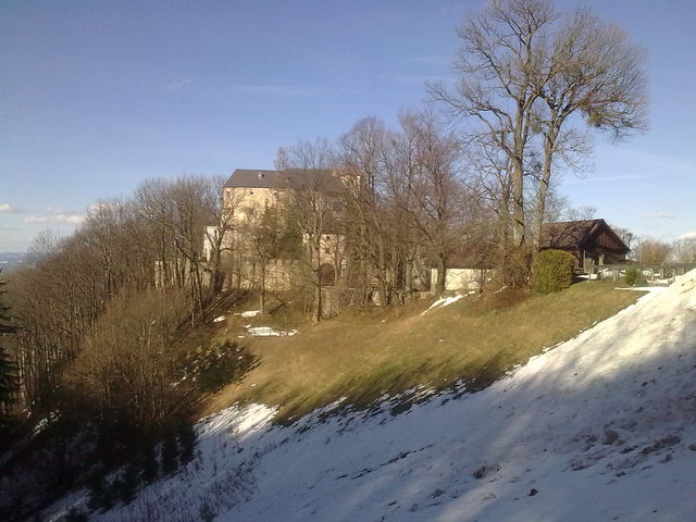 Burg Plankenstein - ausnahmsweise durch die Bäume sichtbar.