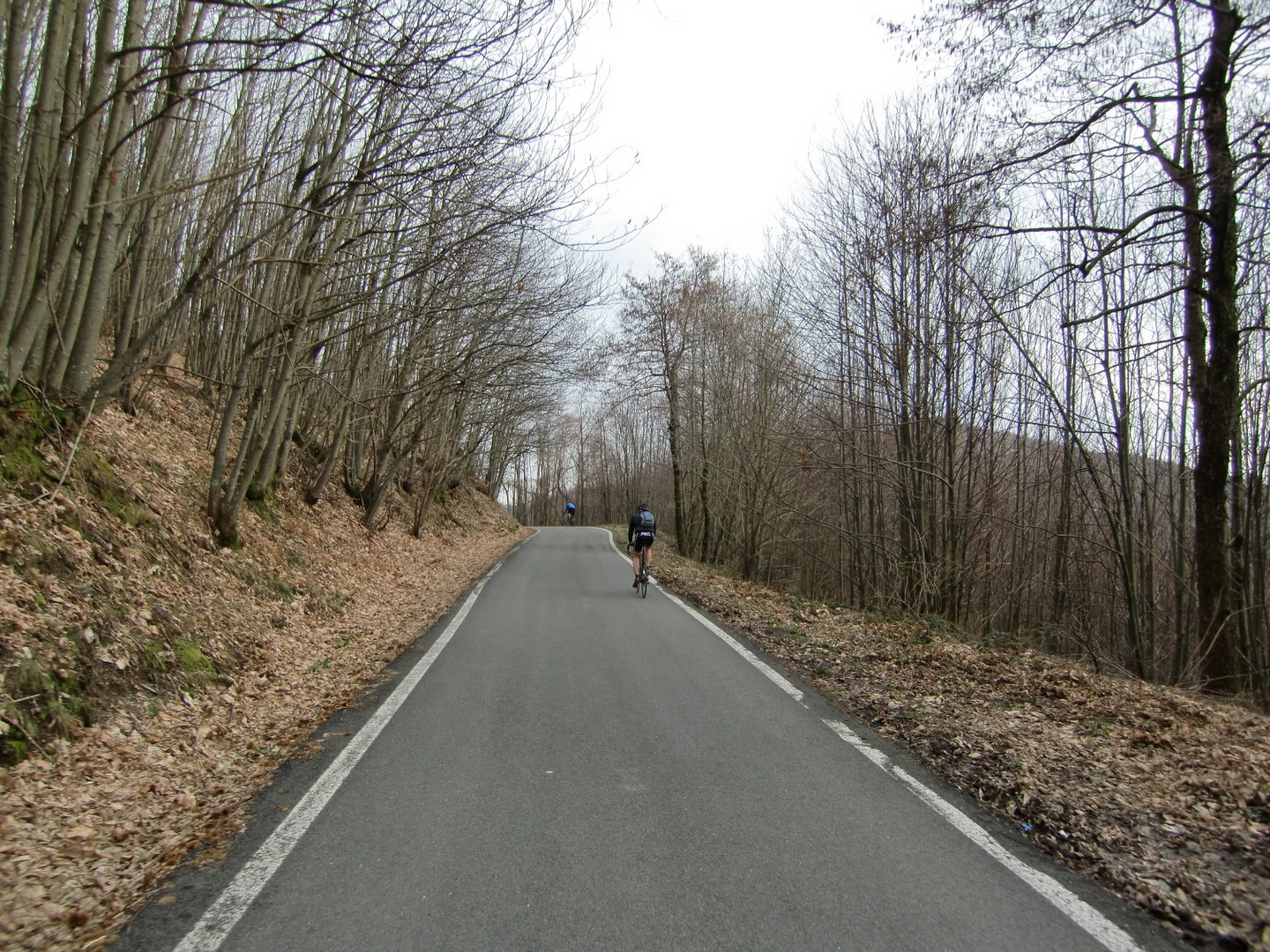 Höhenstraße zum Colle della Mola