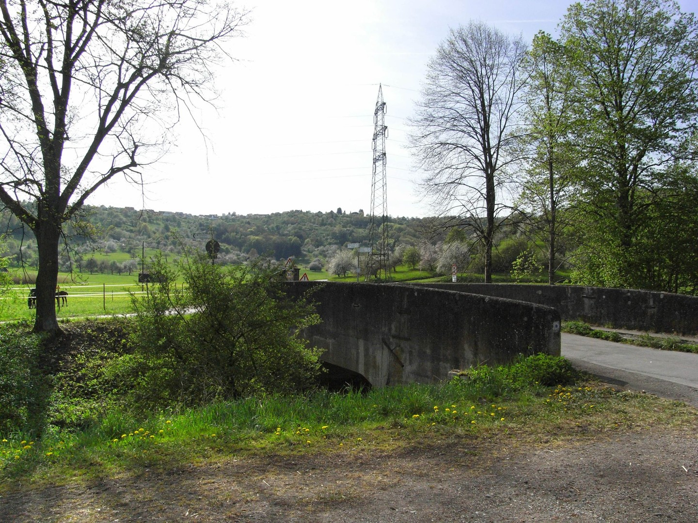 Buhlbronn Ost 01. Beginn des Anstieges erfolgt bei der Brücke über den Wieslauf.