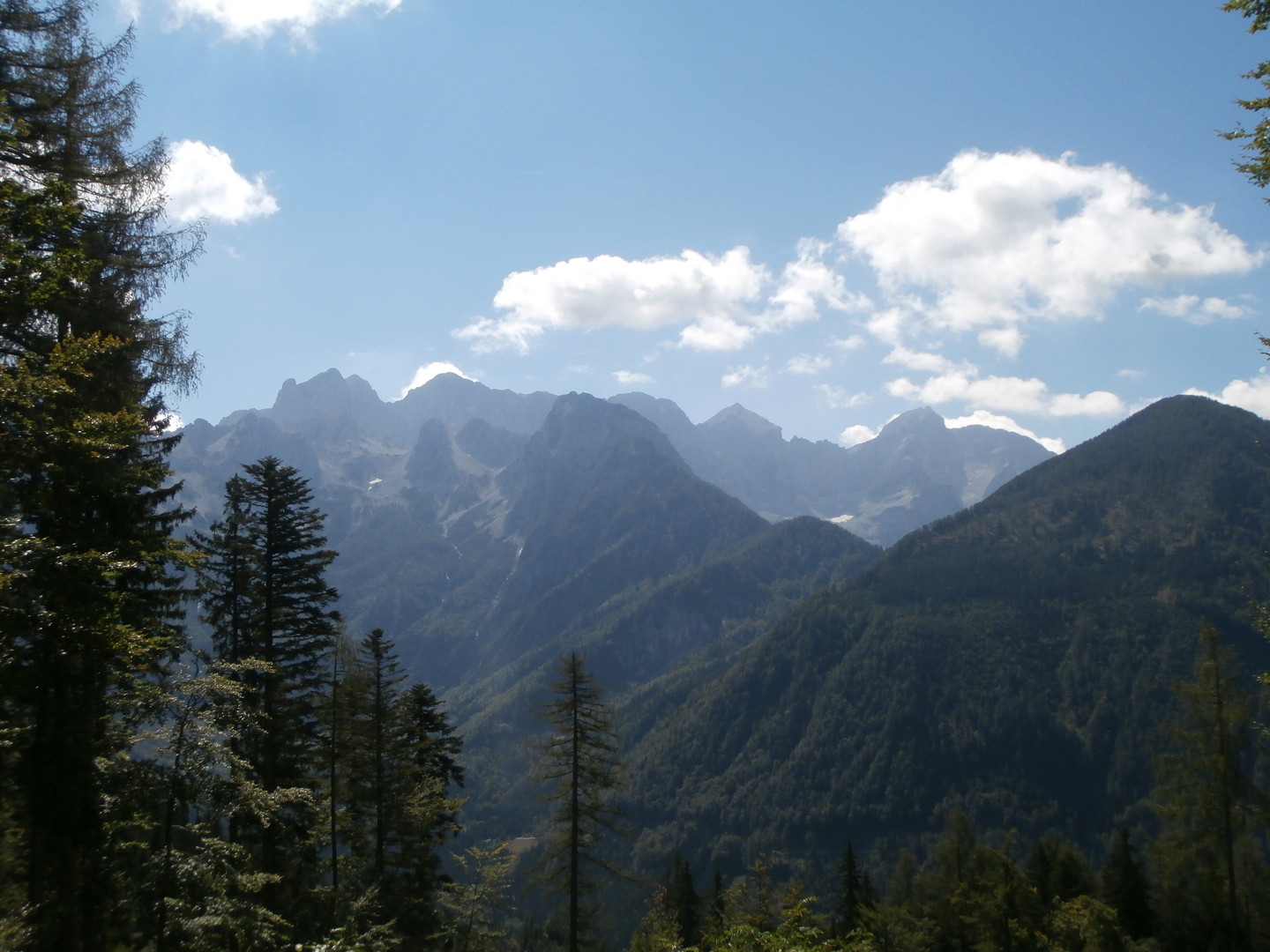 Blick auf die Steiner Alpen in der Westauffahrt.