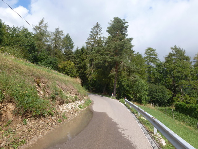 Nach Garniga Terme verläuft die Straße zunächst eben