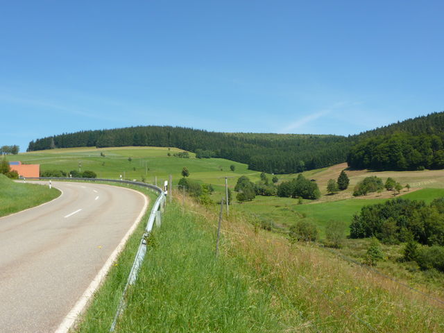 Der bewaldete Bergrücken ist der bewaldete Rand des Hornbergbeckens