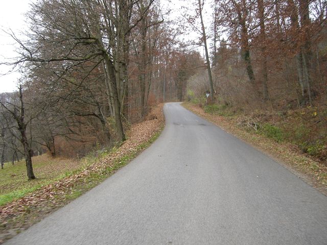 Südostanfahrt von Hohenstadt: Ab durch den Wald.