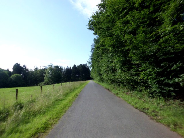 der Weg von der Steinbachtalsperre in den Münstereifeler Wald